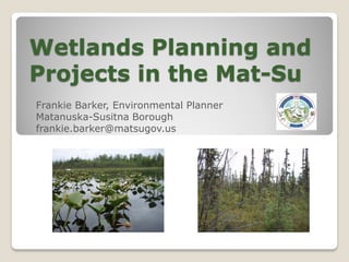 Wetlands Planning and
Projects in the Mat-Su
Frankie Barker, Environmental Planner
Matanuska-Susitna Borough
frankie.barker@matsugov.us
 