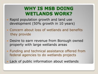MSB Wetlands Projects
Wetlands Mitigation Bank
 (Big Lake South )
Wetlands Mapping (Greater core area)
Public Education (a...