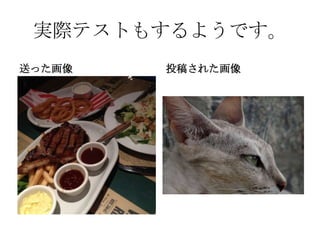 実際テストもするようです。
送った画像   投稿された画像
 