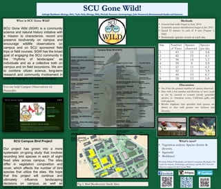 What is SCU Gone Wild?
SCU Gone Wild (SGW) is a community
science and natural history initiative with
a mission to characterize, record and
preserve biodiversity on campus and
encourage wildlife observations on
campus and on SCU sponsored field
trips or field courses. SGW has the broad
goal of engaging the SCU community in
the “rhythms of landscapes” as
individuals and as a collective both on
campus and on field excursions. We aim
to combine citizen science, long-term
research and community involvement in
order to highlight our unique campus.
You can help! Campus Observations via
iNaturalist
What’s next?
• Vegetation analysis. Species density &
diversity.
• Squirrels!
• Bioblitzes!
We thank Willem P. Roelandts and Maria Constantino-Roelandts, The
Center for Science, Technology, and Society, and the SCU Provost’s
office for support for SCU Gone Wild.
SCU Campus Bird Project
Our project has grown into a more
systematic on-going study that involves
recording bird species in each of eight
fixed sites across campus. The sites
differ in vegetation composition and
cover, which affects the number of bird
species that utilize the sites. We hope
that this project will continue and
ultimately influence landscaping
decisions on campus, as well as
contribute to further bird and biodiversity
Methods
• General bird walks began in Sept. 2014
• Systematic species identification began in Jan. 2015
• Spend 15 minutes in each of 8 sites (Firgure 1,
map)
• Systematic species count at each site
Fig 1. Bird Biodiversity Study Sites
Discussion
• Site 4 has the greatest number of species observed.
• Sites with a low number and diversity of trees (such
as site 8), seemed to contain mostly generalist
species, ie: American crows, California gulls, and
rock pigeons.
• Results implicate that specialist bird species are
drawn to sites with greater tree richness and
diversity.
Family/ Common name Scientific Name
Laridae - Gulls, Terns, and Skimmers
California Gull Larus californicus
Herring Gull Larus argentatus
Ring-billed Gull Larus delawarensis
Pelecanidae – Pelicans
American White Pelican Pelecanus
erythrorhynchos
Columbidae - Pigeons and Doves
Mourning Dove Zenaida macroura
Rock Pigeon Columba livia
Trochilidae - Hummingbirds
Anna's Hummingbird Calypte anna
Picidae - Woodpeckers and Allies
Nuttall's Woodpecker Picoides
nuttallii
Northern Flicker Colaptes
auratus
Tyrannidae - Tyrant Flycatchers
Olive-sided Flycatcher Contopus cooperi
Black Phoebe Sayornis
nigricans
Say’s Phoebe Sayornis
saya
Vireonidae - Vireos
Hutton's Vireo Vireo
huttoni
Corvidae - Crows and Jays
American Crow Corvus
brachyrhynchos
Western Scrub-Jay Aphelocoma
californica
Cathartidae - New World Vultures
Turkey Vulture Cathartes
aura
Accipitridae - Hawks, Kites, Eagles, and Allies
Cooper’s Hawk Accipiter
cooperii
Red-tailed Hawk Buteo
jamaicensis
Golden Eagle Aquila
chrysaetos
Falconidae – Falcons
Peregrine Falcon Falco Peregrinus
Strigidae – Typical Owls
Burrowing Owl Athene cunicularia
Western Screech Owl Megascops kennicottii
Family/ Common name Scientific Name
Emberizidae – Buntings and Sparrows
Dark-eyed Junco Junco
hyemalis
House Sparrow Passer domesticus
Song Sparrow Melospiza
melodia
White-crowned Sparrow Zonotrichia
leucophrys
Fox Sparrow Passerella iliaca
Black-throated Sparrow Amphispiza bilineata
Mimidae-Mockingbirds, thrashers, and allies
Northern Mockingbird Mimus polyglottos
Bombycillidae – Waxwings
Cedar Waxwing Bombycilla
cedrorum
Paridae - Chickadees and Titmice
Chestnut-backed Chickadee Poecile rufescens
Oak Titmouse Baeolophus inornatus
Aegithalidae - Long-tailed Tits and Bushtits
Bushtit Psaltriparus
minimus
Fringillidae - Fringilline and Cardueline Finches and Allies
House Finch Haemorhous mexicanus
Lesser Goldfinch Spinus psaltria
Parulidae - Wood-Warblers
Townsend's Warbler Setophaga
townsendi
Yellow Warbler Setophaga
petechia
Yellow-rumped Warbler Setophaga
coronata
Troglodytidae - Wrens
Bewick's Wren Thryomanes bewickii
Regulidae – Kinglets
Ruby-crowned Kinglet Regulus
calendula
Turdidae - Thrushes
Western Bluebird Sialia
Mexicana
American Robin Turdus migratorius
Photo by John S. Farnsworth
Campus Birds 2014-2015
 
