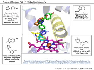 Fragment Merging – CYP121 (X-Ray Crystallography)
Heme binder through
NH2
Difficult to merge with
other fragments
Heme bin...