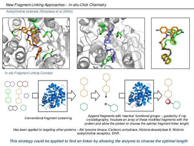 Fragment Based Drug Discovery Examples – WSEAB