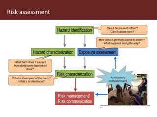 Health impact, food safety assessment and mitigation – experience from a case study in the region
