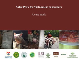 Health impact, food safety assessment and mitigation – experience from a case study in the region