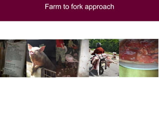 Health impact, food safety assessment and mitigation – experience from a case study in the region