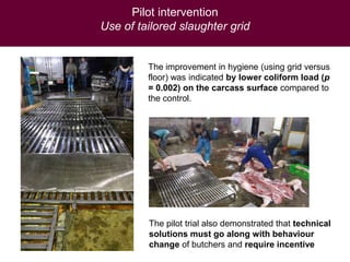 Health impact, food safety assessment and mitigation – experience from a case study in the region