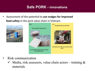 Health impact, food safety assessment and mitigation – experience from a case study in the region