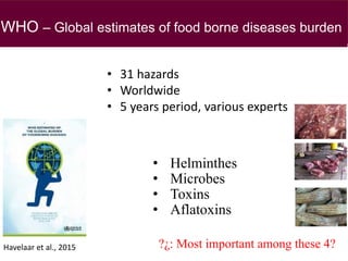 Health impact, food safety assessment and mitigation – experience from a case study in the region
