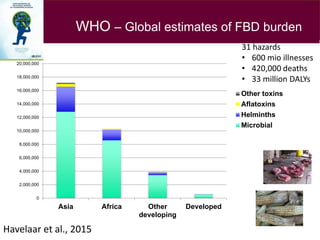Health impact, food safety assessment and mitigation – experience from a case study in the region
