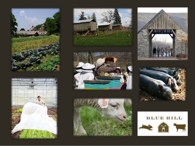 Summer Camps Presentation From Stone Barns Center