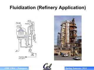 Fixed and Fluidized Bed for Good Manufacturing | PPT