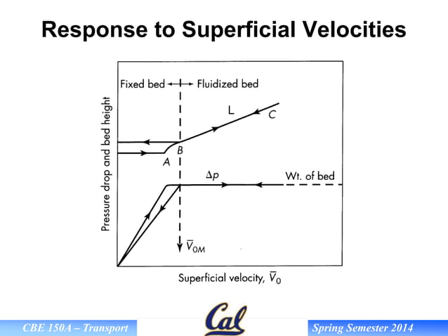 Fixed and Fluidized Bed for Good Manufacturing | PPT