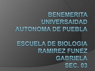 BENEMERITA UNIVERSAIDAD AUTONOMA DE PUEBLAESCUELA DE BIOLOGIA	RAMIREZ FUNEZ GABRIELASEC. 03 