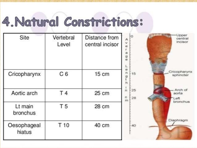 Natural Way To Lower Among A Level With Fish Natural Way To Lower Among A Level With Fish