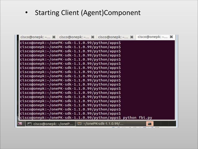 Example Python Script for Nexus 3K | PPT
