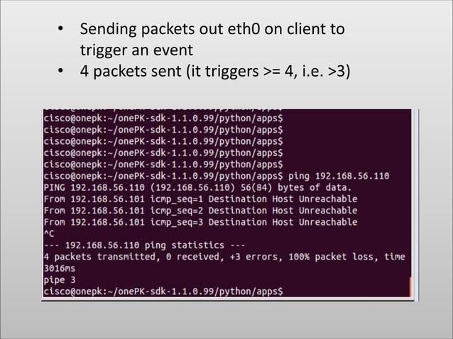 Example Python Script for Nexus 3K | PPT
