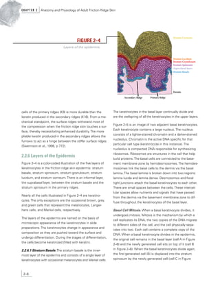 FBI MANUAL LATEST DOWNLOAD.pdf