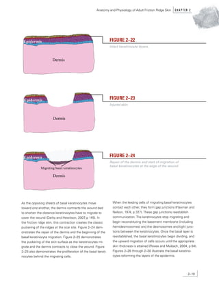 Puckering Ridge FBI MANUAL LATEST DOWNLOAD.pdf