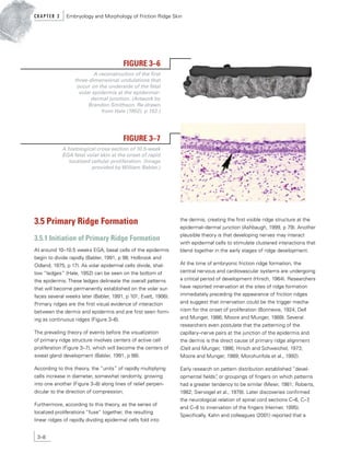 Primaryb Rudge's FBI MANUAL LATEST DOWNLOAD.pdf