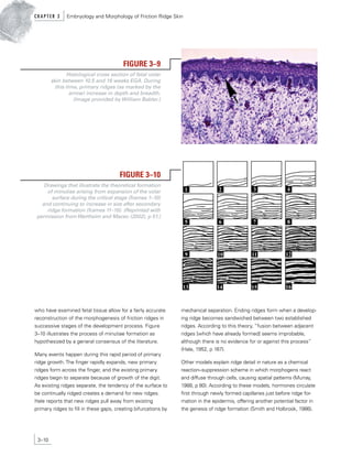 Primaryb Rudge's FBI MANUAL LATEST DOWNLOAD.pdf