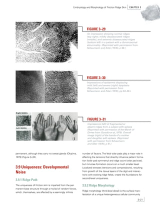 Dime Ridges FBI MANUAL LATEST DOWNLOAD.pdf