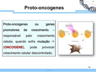  1883 aneuploidias nos autossomas, das quais, 1041 são trissomias 21