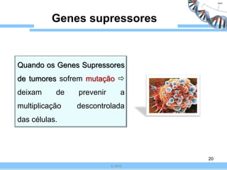  Todas as mutações cromossómicas numéricas podem ser diagnosticadas por amniocenteseOs Biólogos consideram que resultam de poliploidia: 70% das espécies de Angiospérmicas (plantas com flor)