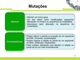  Probabilidade de ocorrência de mutações é alta