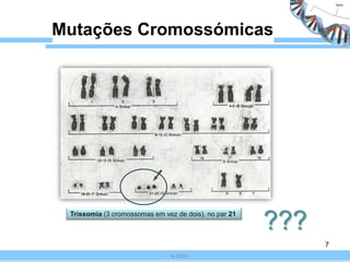 Mutações3IL 2010