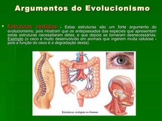 Argumentos do Evolucionismo Estruturas vestigias  - Estas estruturas são um forte argumento do evolucionismo, pois mostram que os antepassados das espécies que apresentam estas estruturas necessitaram delas, e que depois se tornaram desnecessárias.  Exemplo  (o ceco é muito desenvolvido em animais que ingerem muita celulose - pois a função do ceco é a degradação desta). 