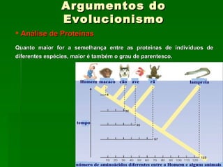 Argumentos do Evolucionismo Análise de Proteínas Quanto maior for a semelhança entre as proteínas de indivíduos de diferentes espécies, maior é também o grau de parentesco.   