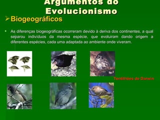 Argumentos do Evolucionismo Biogeográficos As diferenças biogeográficas ocorreram devido à deriva dos continentes, a qual separou indivíduos da mesma espécie, que evoluiram dando origem a diferentes espécies, cada uma adaptada ao ambiente onde viveram. Tentilhões de Darwin            © CienTIC - José Salsa, 2003 - optimizado para 1024 x 768 