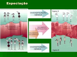 Especiação 