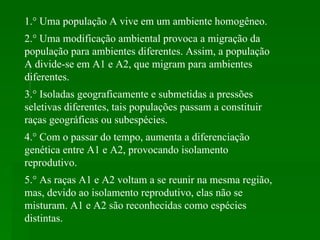 1.° Uma população A vive em um ambiente homogêneo.  2.° Uma modificação ambiental provoca a migração da população para ambientes diferentes. Assim, a população A divide-se em A1 e A2, que migram para ambientes diferentes.  3.° Isoladas geograficamente e submetidas a pressões seletivas diferentes, tais populações passam a constituir raças geográficas ou subespécies.  4.° Com o passar do tempo, aumenta a diferenciação genética entre A1 e A2, provocando isolamento reprodutivo.  5.° As raças A1 e A2 voltam a se reunir na mesma região, mas, devido ao isolamento reprodutivo, elas não se misturam. A1 e A2 são reconhecidas como espécies distintas.  
