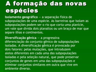 A formação das novas espécies Isolamento geográfico  — a separação física de subpopulações de uma espécie. As barreiras que isolam as subpopulações podem ser o rio que corta uma planície, um vale que divida dois planaltos ou um braço de mar que separe ilhas e continentes. Diversificação gênica  — a progressiva diferenciação do conjunto gênico de subpopulações isoladas. A diversificação gênica é provocada por dois fatores: pelas mutações, que introduzem alelos diferentes em cada uma das subpopulações isoladas e pela seleção natural, que pode preservar conjuntos de genes em uma das subpopulações e eliminar conjuntos similares em outra que vive em ambiente diverso.  