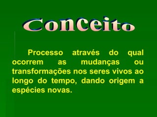 Conceito Processo através do qual ocorrem as mudanças ou transformações nos seres vivos ao longo do tempo, dando origem a espécies novas. 