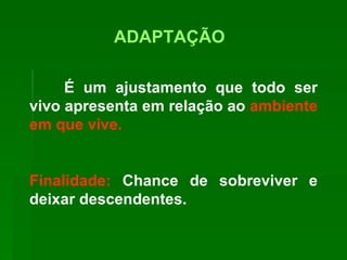 ADAPTAÇÃO É um ajustamento que todo ser vivo apresenta em relação ao  ambiente em que vive.  Finalidade:  Chance de sobreviver e deixar descendentes. 
