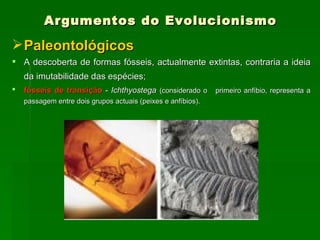 Argumentos do Evolucionismo Paleontológicos A descoberta de formas fósseis, actualmente extintas, contraria a ideia da imutabilidade das espécies;   fósseis de transição  -  Ichthyostega   (considerado o  primeiro anfíbio, representa a passagem entre dois grupos actuais (peixes e anfíbios).   