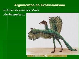 Os fósseis são prova da evolução Argumentos do Evolucionismo Archaeopteryx 