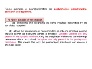 F:\Biology Form 5\Chp 3 Coordination And Response\3 2 The Role Of The ...