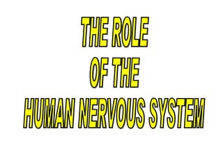 THE ROLE  OF THE HUMAN NERVOUS SYSTEM 