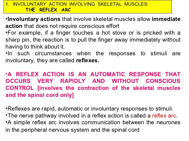 Examples Of Involuntary Actions / Involuntary movements A part of the