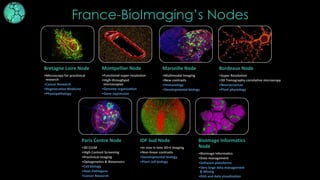 FBI_user-access-focused-presentation-1.pdf