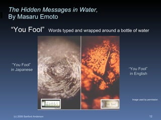 The Hidden Messages in Water,   By Masaru Emoto “ You Fool”  Words typed and wrapped around a bottle of water “ You Fool”  in English “ You Fool”  in Japanese Image used by permission 