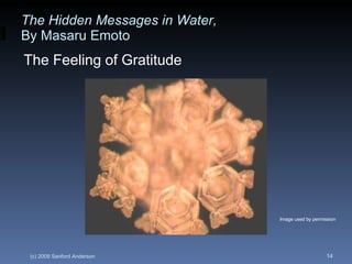 The Hidden Messages in Water,   By Masaru Emoto The Feeling of Gratitude Image used by permission 