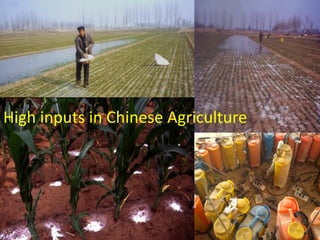 Field Building Leadership Initiative (FBLI): Advancing ecohealth in Southeast Asia