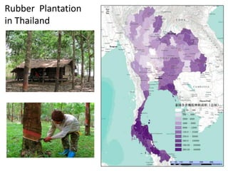 Field Building Leadership Initiative (FBLI): Advancing ecohealth in Southeast Asia
