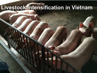 Field Building Leadership Initiative (FBLI): Advancing ecohealth in Southeast Asia