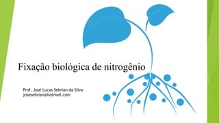 Fixação biológica de nitrogênio
Prof. José Lucas Sebrian da Silva
josesebrian@hotmail.com
 