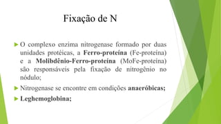  O complexo enzima nitrogenase formado por duas
unidades protéicas, a Ferro-proteína (Fe-proteína)
e a Molibdênio-Ferro-proteína (MoFe-proteína)
são responsáveis pela fixação de nitrogênio no
nódulo;
 Nitrogenase se encontre em condições anaeróbicas;
 Leghemoglobina;
Fixação de N
 